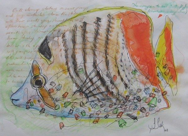 fish-WATERCOLORS,15