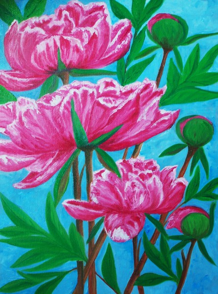 Peonies from my garden