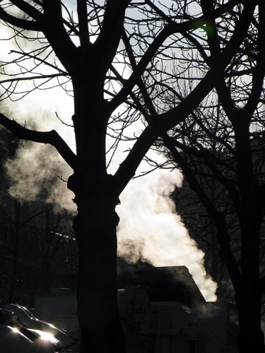 Smoke