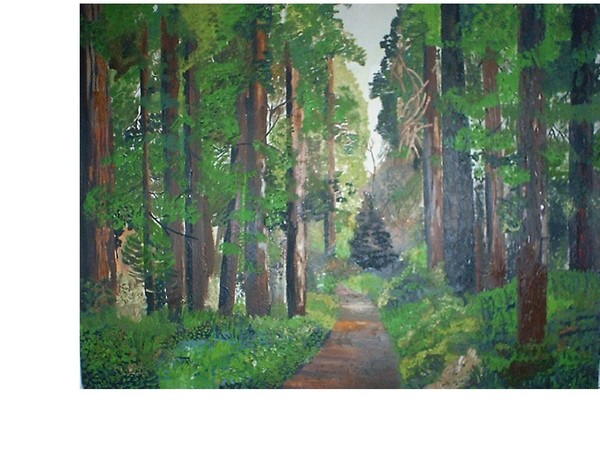 calf redwood