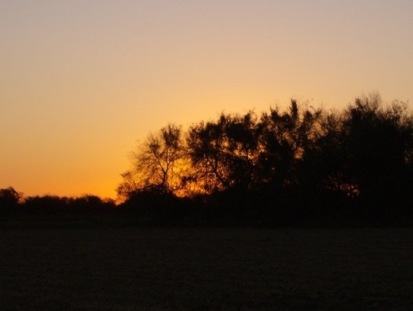 ablaze