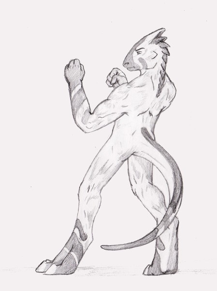 The Fighter