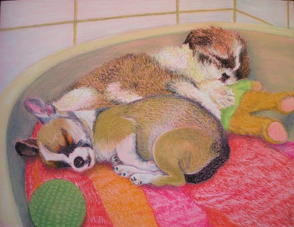 Sleeping Puppies
