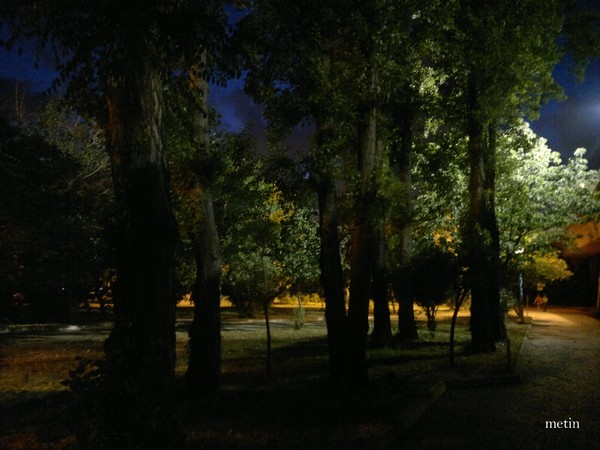 night in the park