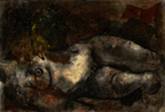 Anima