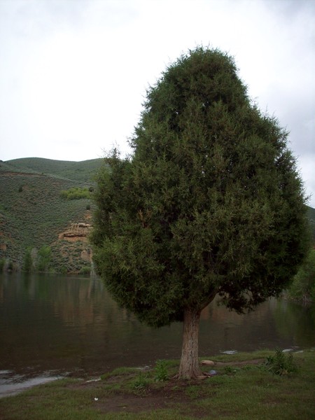 Reservoir