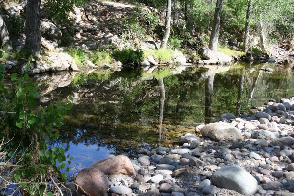 nature's reflection 2