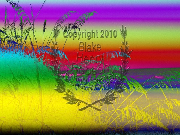 Sea Oats Daytona Beach Shores