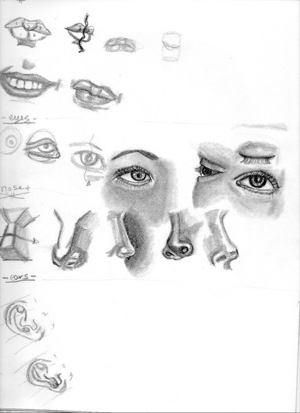mouth,eyes,nose...OH MY!