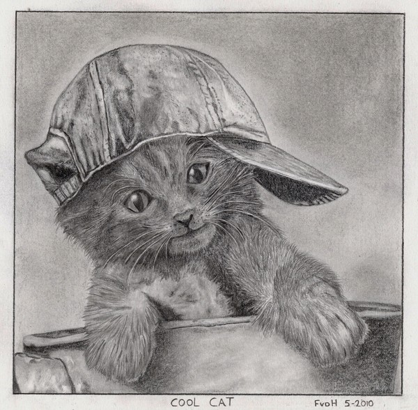 Cool Cat
