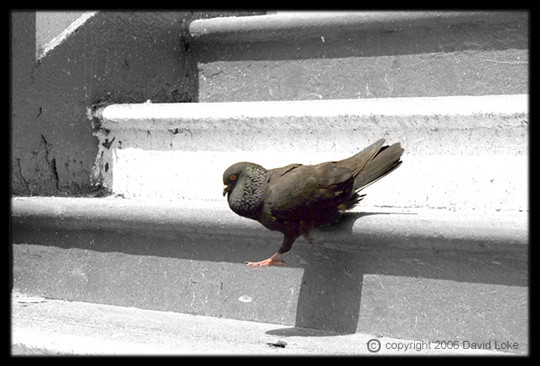 Step of Faith (revisited)