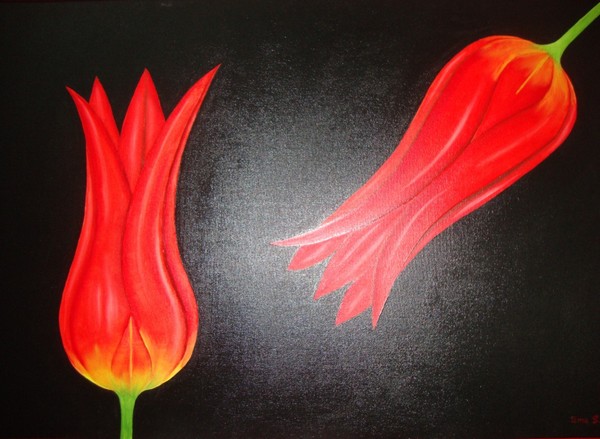 Tulips