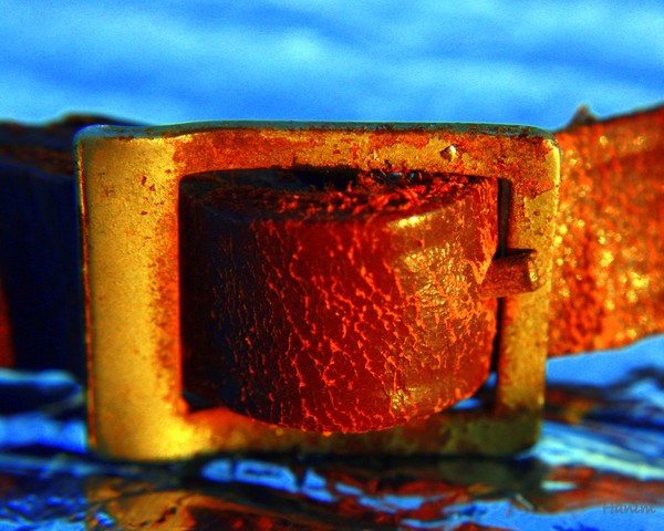 Belt