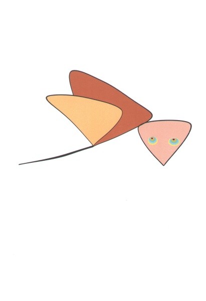 Reconnaissance bird