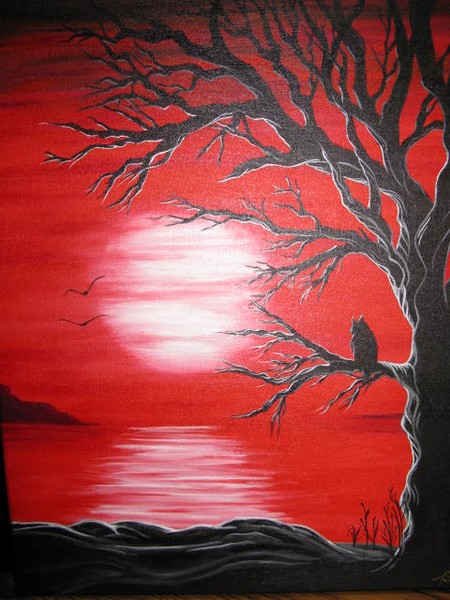 Cassie's Owl