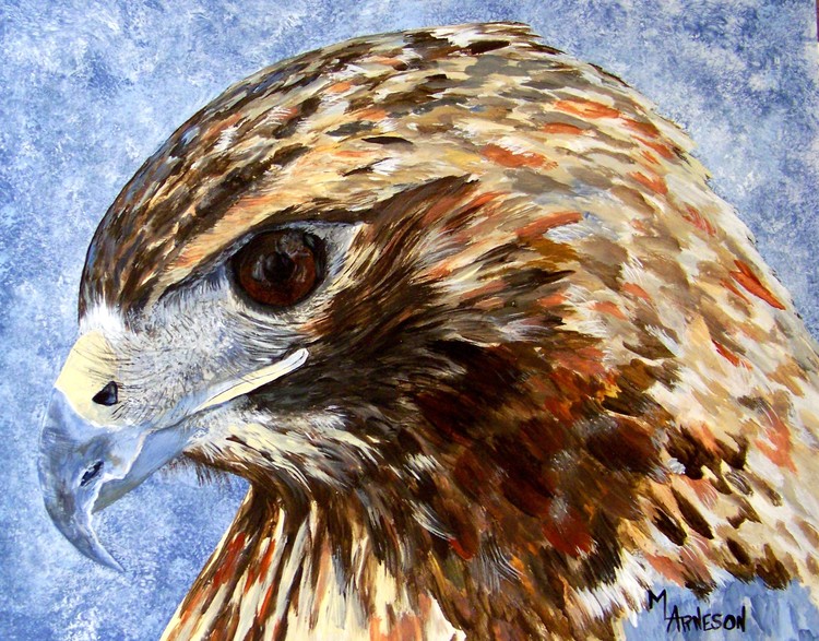 Hawk