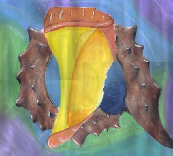 Shells