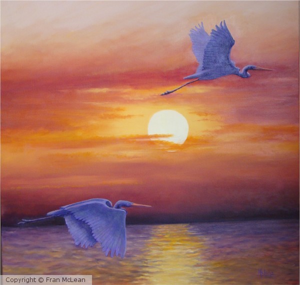 Sunset Flights