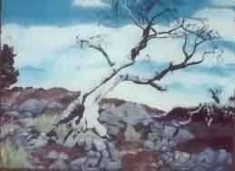 The Alberta Burmis Tree