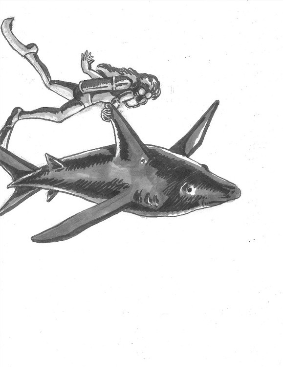 Scuba Diver Shark (more black)