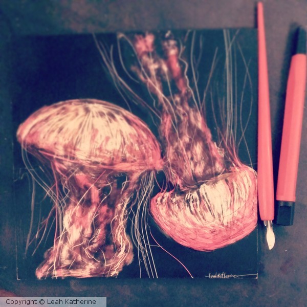 Jellyfish on a 6x6 scratch board