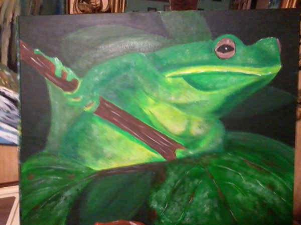 tree frog