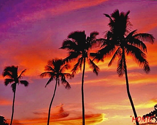 MauiSunset645 lzn