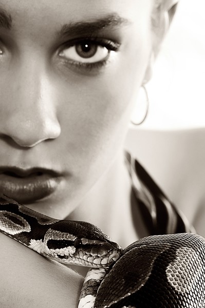 Beauty & The Boa