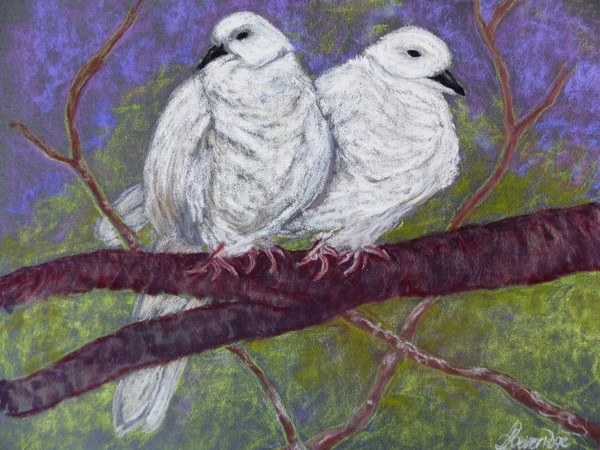 Pidgeon Pair