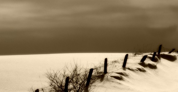 Fence Line