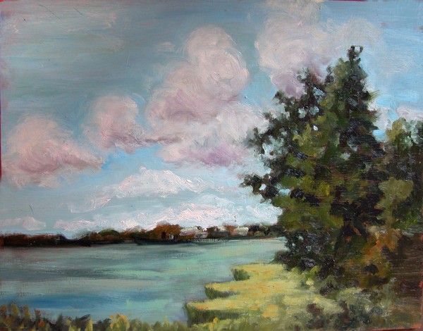 St Johns river