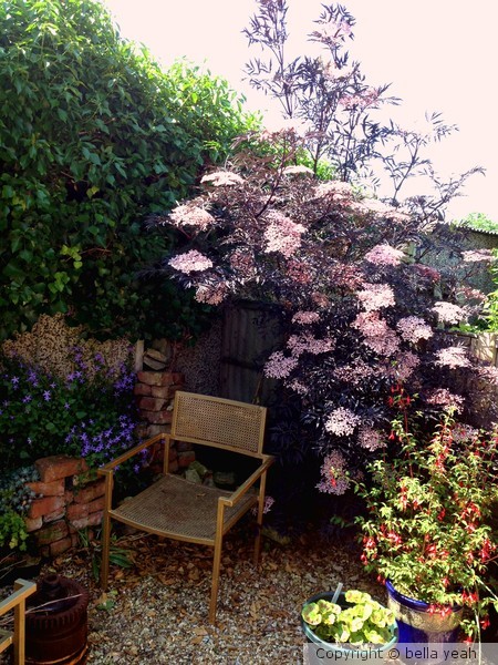shady spot