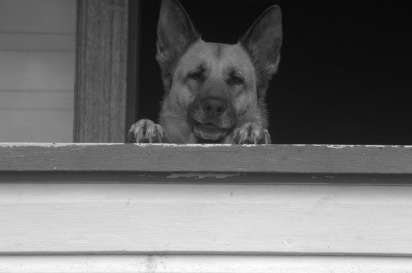 DSC 0132.NEF