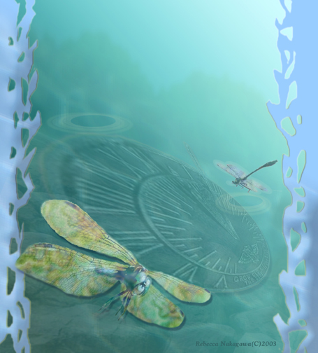 Time Keepers