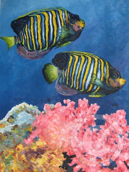 Angelfish