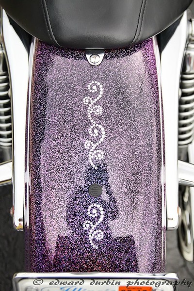 My Pink Sparkly Harley - back fender