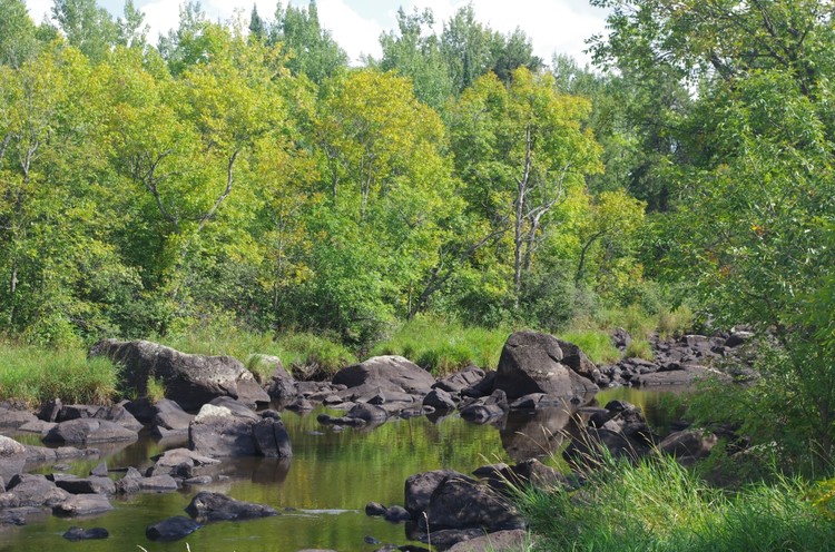 Partridge River III
