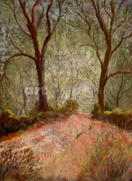 Forest Road