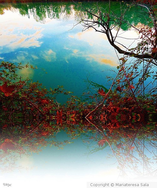 the sky reflex on the pond