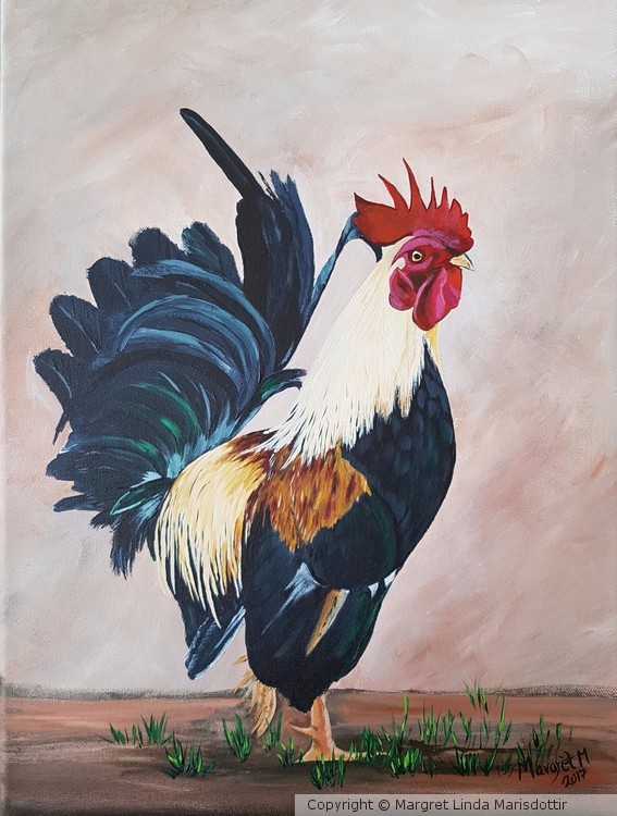 Rooster