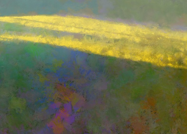 Summer Light