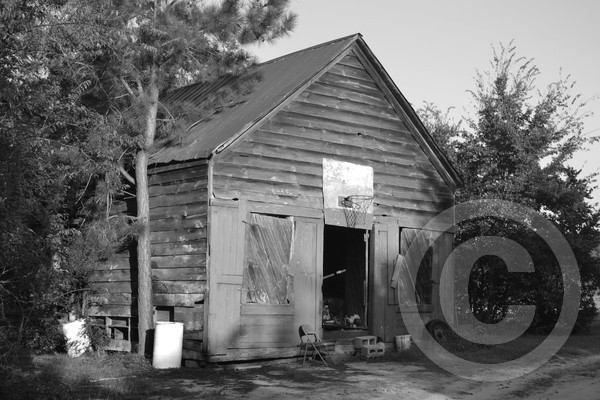 DSC 0450