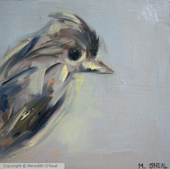 Blue and Yellow Bird