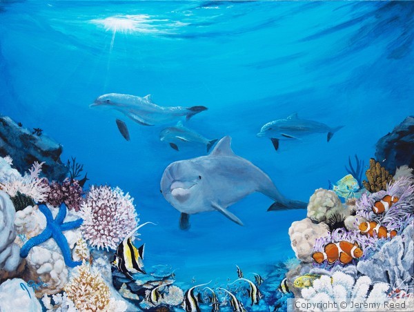 A Visit to the Reef