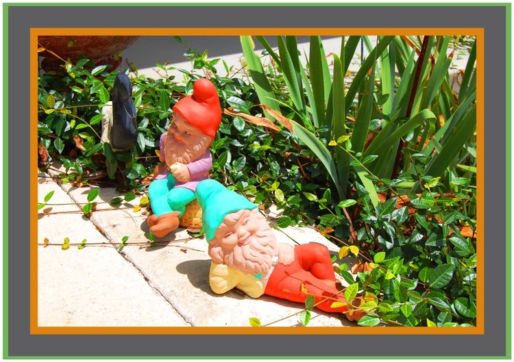 Garden Gnomes a Border less