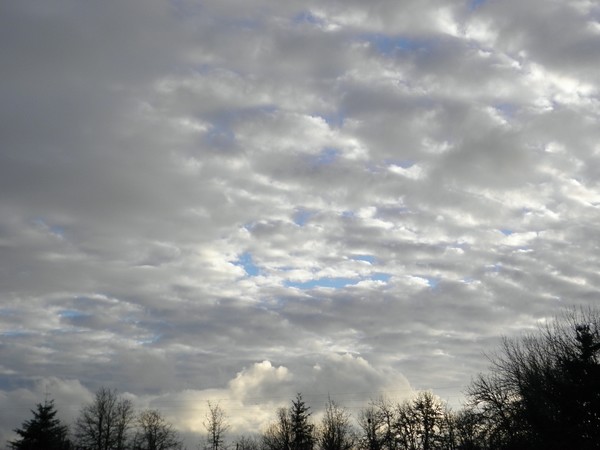 Oregon Skies #1