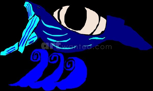 blue whale watcher