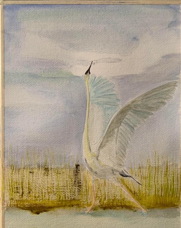 Dancing Egret