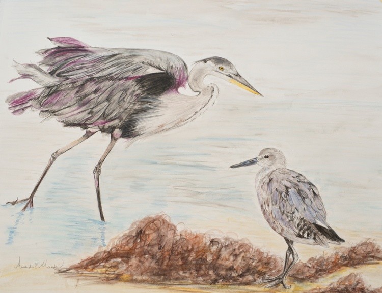 Heron and small wader