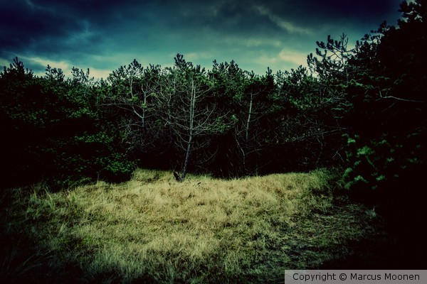 The Island #15